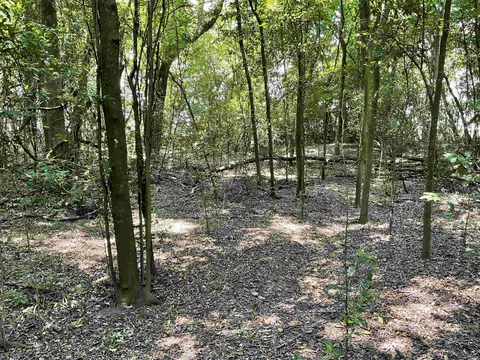 Vacant NE Chervil Drive, Lee, FL 32059 photo 36