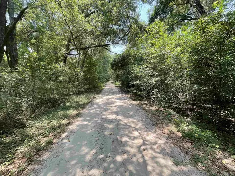 Vacant NE Chervil Drive, Lee, FL 32059 photo 37