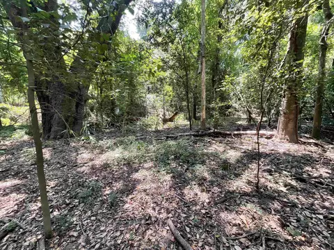 Vacant NE Chervil Drive, Lee, FL 32059 photo 15