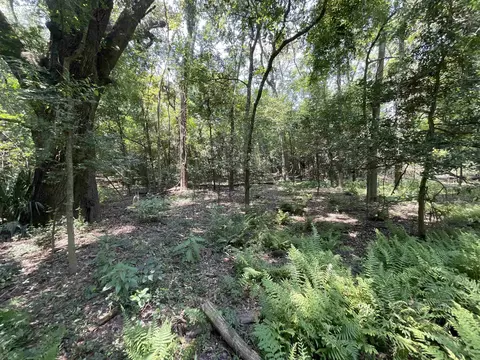 Vacant NE Chervil Drive, Lee, FL 32059 photo 16