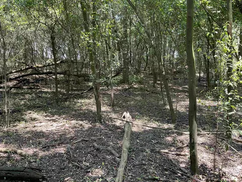 Vacant NE Chervil Drive, Lee, FL 32059 photo 14