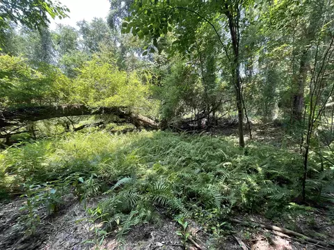 Vacant NE Chervil Drive, Lee, FL 32059 photo 35