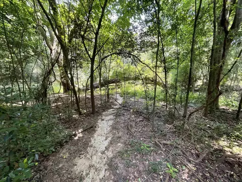 Vacant NE Chervil Drive, Lee, FL 32059 photo 26