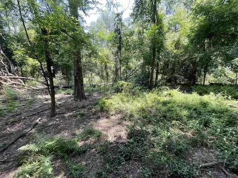 Vacant NE Chervil Drive, Lee, FL 32059 photo 28