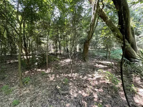 Vacant NE Chervil Drive, Lee, FL 32059 photo 22
