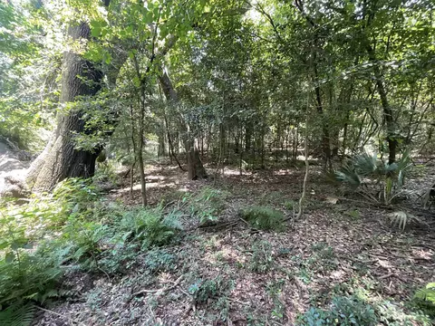 Vacant NE Chervil Drive, Lee, FL 32059 photo 34