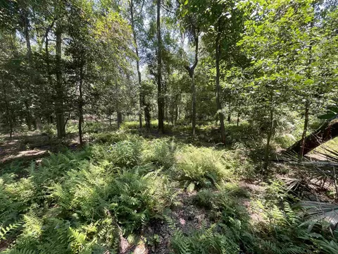 Vacant NE Chervil Drive, Lee, FL 32059 photo 19