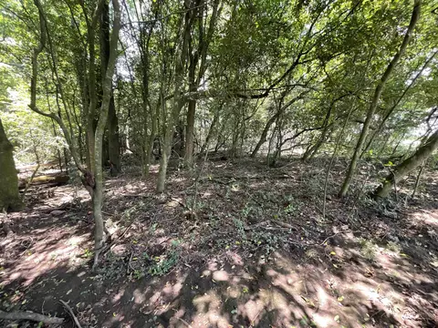 Vacant NE Chervil Drive, Lee, FL 32059 photo 18