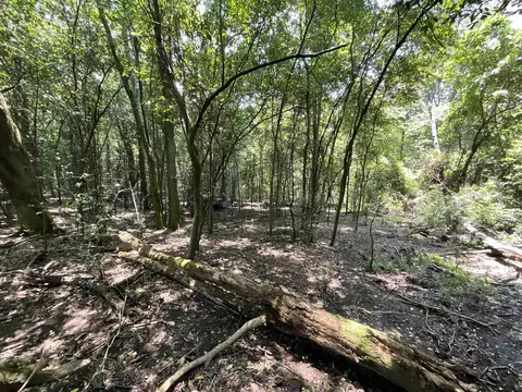 Vacant NE Chervil Drive, Lee, FL 32059 photo 17