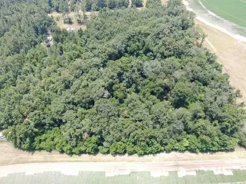 Vacant NE Chervil Drive, Lee, FL 32059 photo 3
