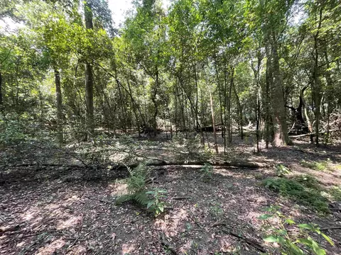 Vacant NE Chervil Drive, Lee, FL 32059 photo 29