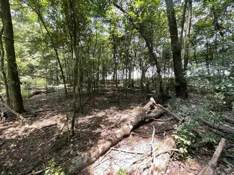 Vacant NE Chervil Drive, Lee, FL 32059 photo 12