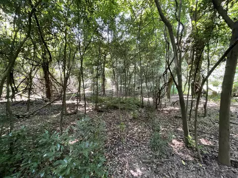 Vacant NE Chervil Drive, Lee, FL 32059 photo 23