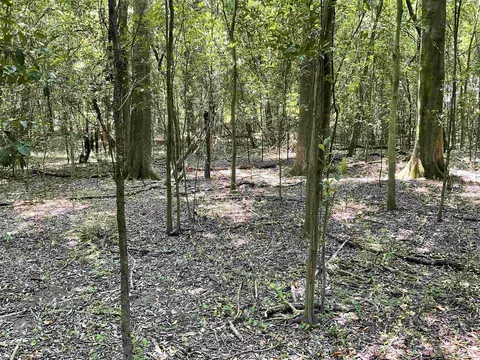 Vacant NE Chervil Drive, Lee, FL 32059 photo 30