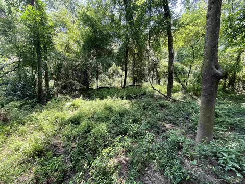 Vacant NE Chervil Drive, Lee, FL 32059 photo 9