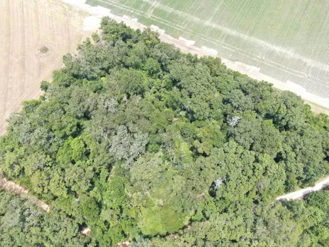 Vacant NE Chervil Drive, Lee, FL 32059 photo 40