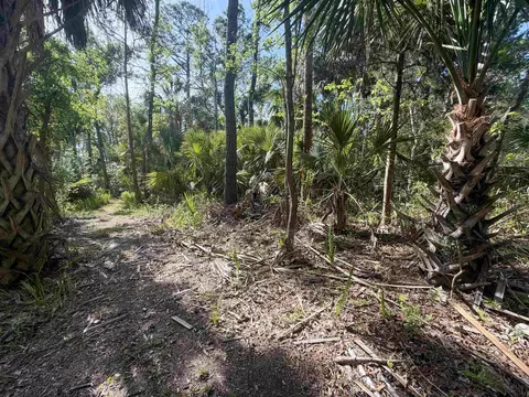 1320 NE Cedar St, Steinhatchee, FL 32359 photo 18