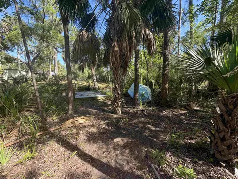 1320 NE Cedar St, Steinhatchee, FL 32359 photo 17