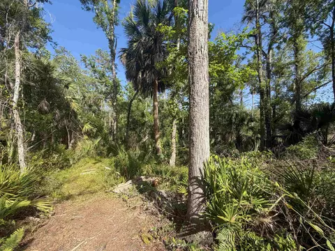 1320 NE Cedar St, Steinhatchee, FL 32359 photo 20
