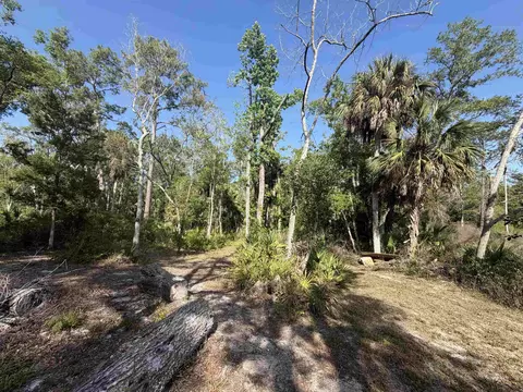 1320 NE Cedar St, Steinhatchee, FL 32359 photo 22