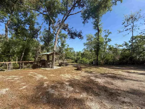 1320 NE Cedar St, Steinhatchee, FL 32359 photo 26
