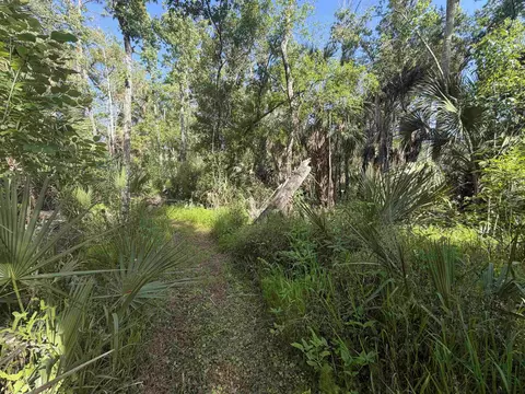 1320 NE Cedar St, Steinhatchee, FL 32359 photo 19