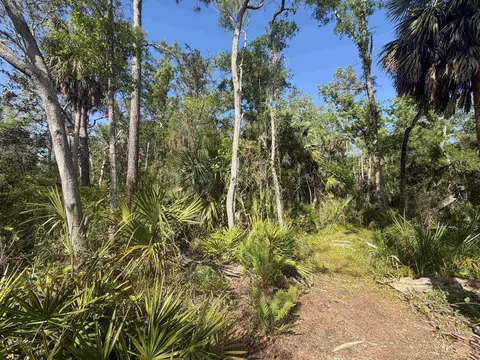 1320 NE Cedar St, Steinhatchee, FL 32359 photo 34