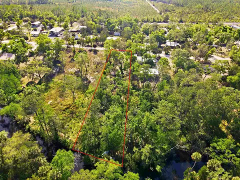 1320 NE Cedar St, Steinhatchee, FL 32359 photo 5