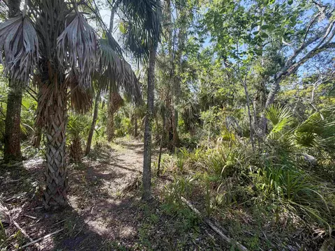1320 NE Cedar St, Steinhatchee, FL 32359 photo 15