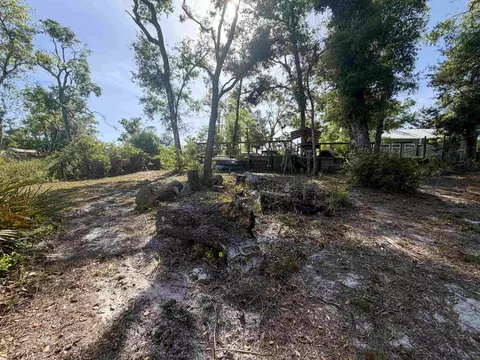 1320 NE Cedar St, Steinhatchee, FL 32359 photo 21
