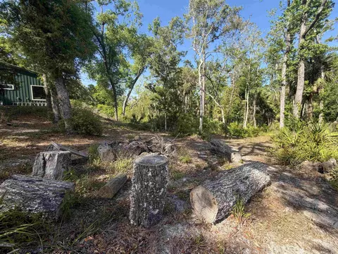 1320 NE Cedar St, Steinhatchee, FL 32359 photo 36