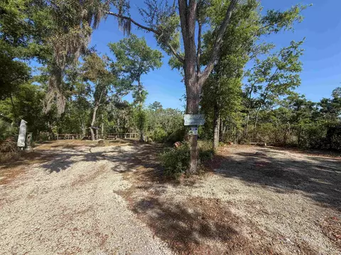 1320 NE Cedar St, Steinhatchee, FL 32359 photo 28