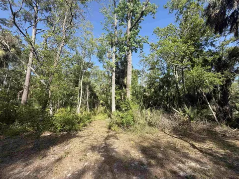 1320 NE Cedar St, Steinhatchee, FL 32359 photo 35