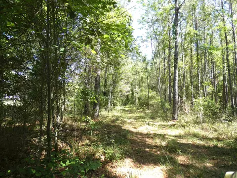 1310 Piney Woods Rd, Monticello, FL 32344