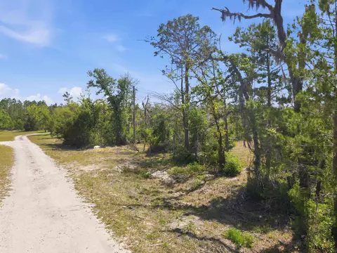 15931 Shell Dr, Perry, FL 32348 photo 5