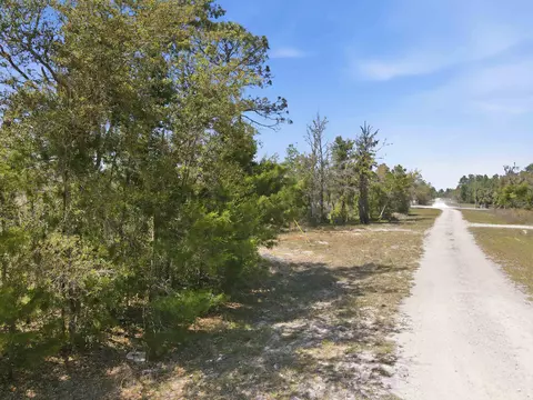 15931 Shell Dr, Perry, FL 32348 photo 6
