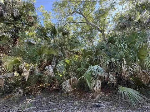 lot20 Blue Dolphin Dr, Crawfordville, FL 32327