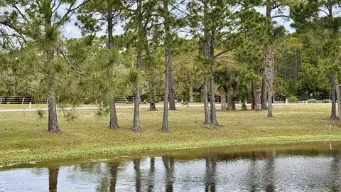Endeavour Drive, Panacea, FL 32346 photo 5