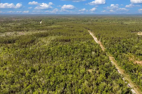 0 SW 361 Hwy, Jena, FL 32359 photo 9