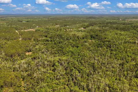 0 SW 361 Hwy, Jena, FL 32359 photo 7