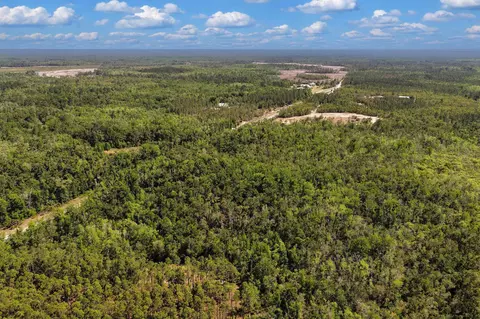 0 SW 361 Hwy, Jena, FL 32359 photo 6