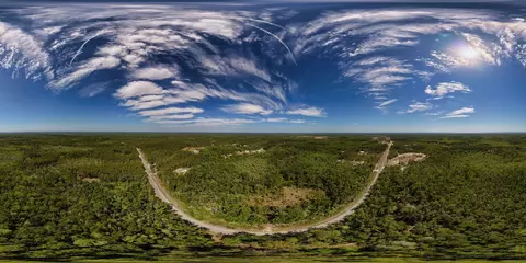 0 SW 361 Hwy, Jena, FL 32359 photo 4