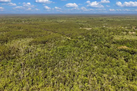 0 SW 361 Hwy, Jena, FL 32359 photo 8