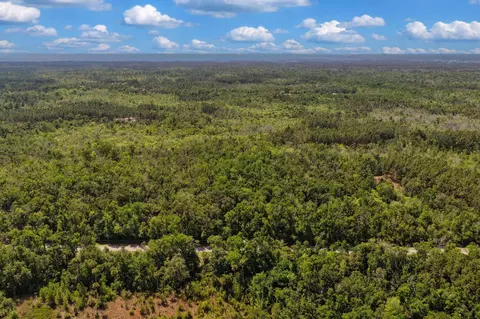 0 SW 361 Hwy, Jena, FL 32359 photo 11
