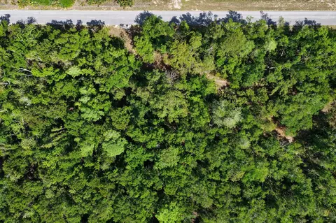 0 SW 361 Hwy, Jena, FL 32359 photo 3