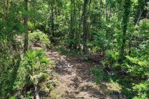 0 SW 361 Hwy, Jena, FL 32359 photo 2