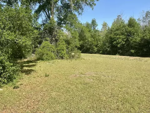 496 NE Centaury Way, Lee, FL 32059 photo 7