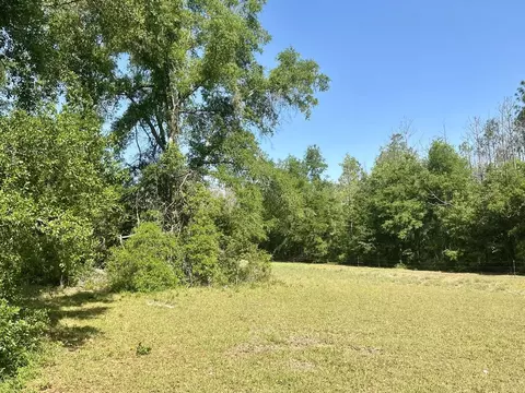 496 NE Centaury Way, Lee, FL 32059 photo 8