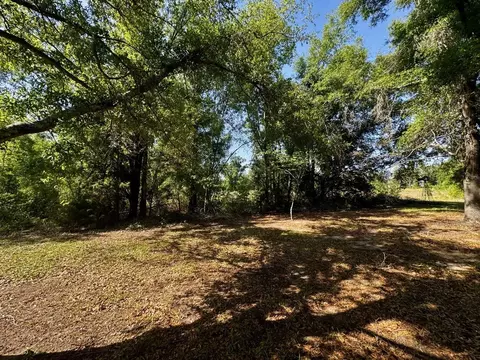 496 NE Centaury Way, Lee, FL 32059 photo 11