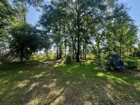 496 NE Centaury Way, Lee, FL 32059 photo 2
